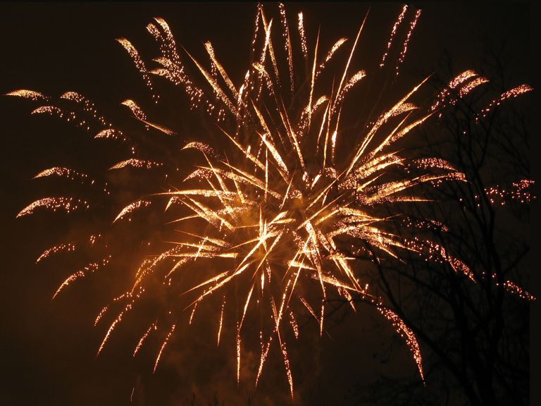 Projeto de lei que proíbe fogos de artifício estampidos é aprovado