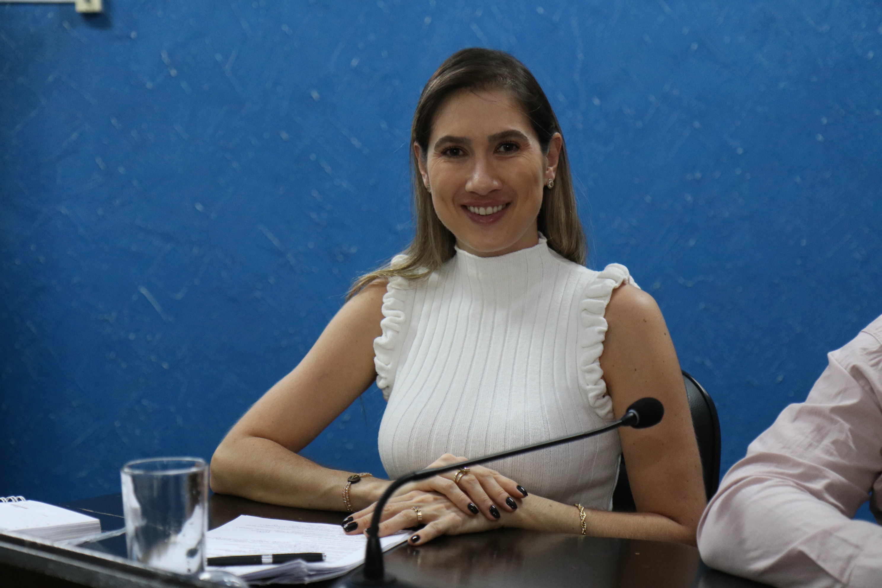 Alexandra Cossul propõe audiência pública sobre o projeto de revitalização da Avenida Rio Branco